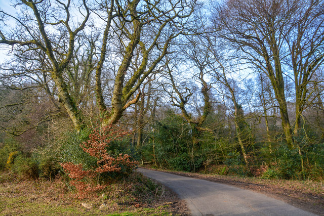 Taunton Deane : Downlands Lane © Lewis Clarke :: Geograph Britain and ...