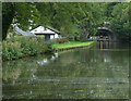 Lancaster Canal at Clifton Hill