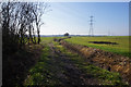 Path leading towards Shafton