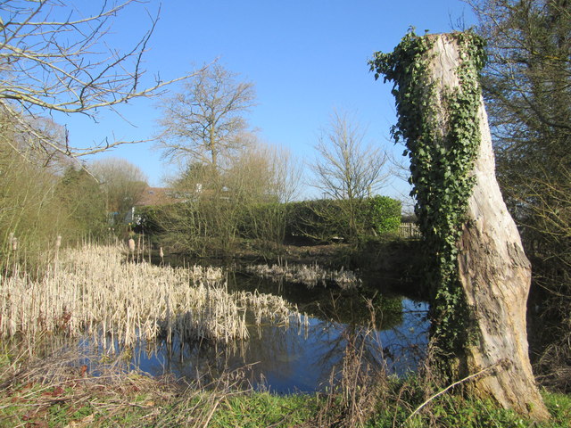Pond outside the church at Silchester