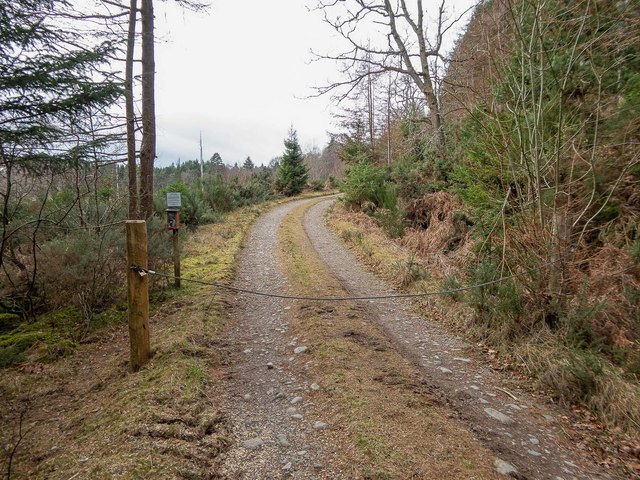 Track in Gallowhill wood