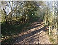 Bridleway near Rakeway Head