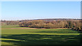 Shropshire farmland and woodland north-east of Patshull Hall