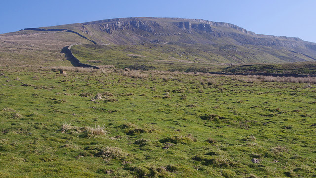 Newbiggin Pasture © Ian Taylor cc-by-sa/2.0 :: Geograph Britain and Ireland