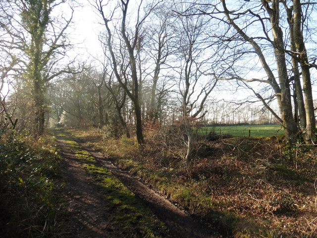 Bridleway to Harcombe Hill © Roger Cornfoot cc-by-sa/2.0 :: Geograph ...