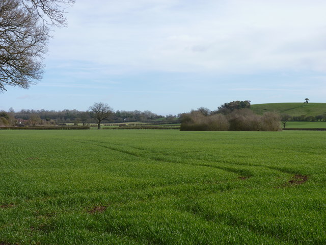 Field near Woolmer Green, Hanbury