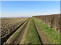 Bridleway between arable field and hedge from Green Lane to Market Bridge