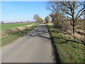 A ditch and tree-lined lane to the south of Minting