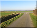 Hedge and ditch enclosed lane from Tothill joining Scrub Lane