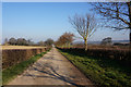 Track leading to Wink Farm, Clayton