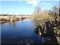 River Wensum just below Hellesdon Mill