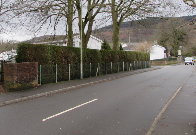 Hedge-lined part of Duffryn Road, Pentrebach