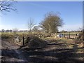 Bridleway near Perryland Farm