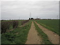 Farm track near Witham Mill