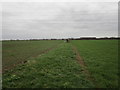 Footpath to Valley Lane