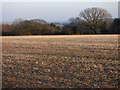 Farmland, Vernhams Dean