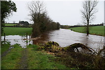 H4869 : Flooding along the Camowen River by Kenneth  Allen