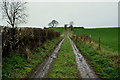 Lane to Donaghanie old graveyard