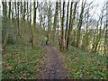 SO8690 : Woodland Footpath by Gordon Griffiths