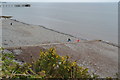 Penarth beach from Cliff Hill