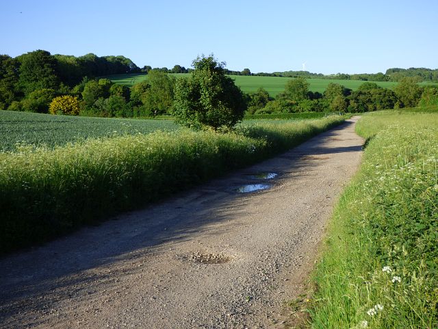 Track and farmland, Linkenholt © Andrew Smith :: Geograph Britain and ...