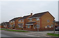 Houses on Springhead Avenue, Hull