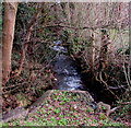 White water on Blaen Bran, Cwmbran