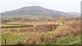 Wetland on the broad valley floor between Foughilletra Road and Aghadavoyle Road