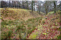 Antonine Wall