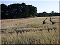 Farmland, St Mary Bourne