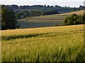 Farmland, Ashmansworth