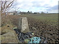 Allerton Road Triangulation Pillar