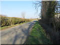 Hedge-lined Westfield Road at Grove and Little Beck Farms