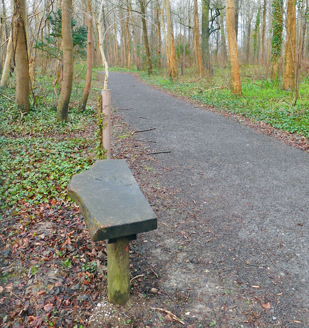 Bench by the Woodland Walk