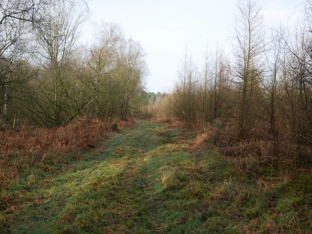 Track between private woodland and... © David Pashley cc-by-sa/2.0 ...