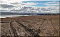 Field above the Beauly Firth at Garguston