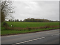 View across B1108 at Watton