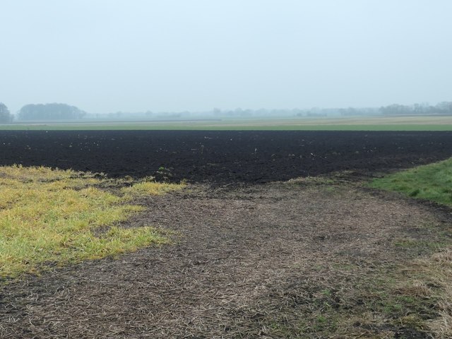 Bare field, Mawdesley Moss