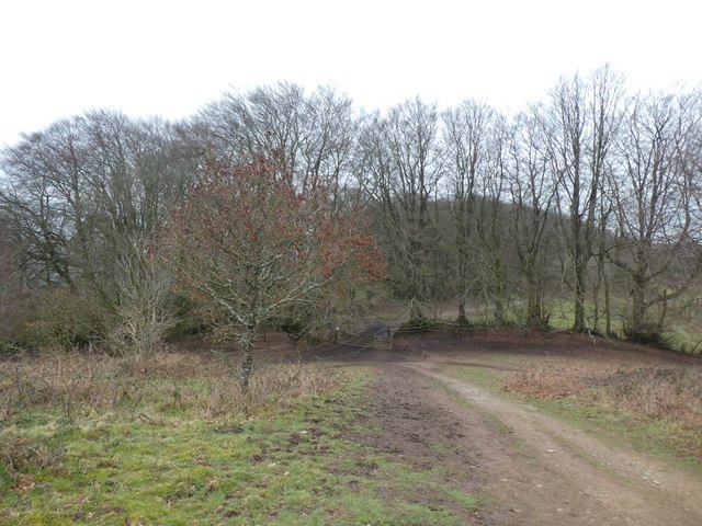 Paths converging between Lydeard Hill and Middle Hill