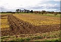 Fields south of Hall Farm