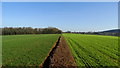 View E along field path between Lunts Farm & Radwood Hall Farm