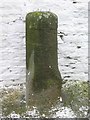 Old Milestone by the A9, Reiss