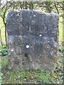 Old Boundary Marker by the A494, Cadole, Mold parish