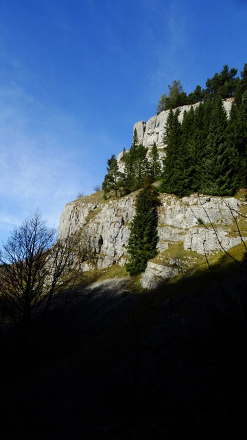 Crags & forest at World's End