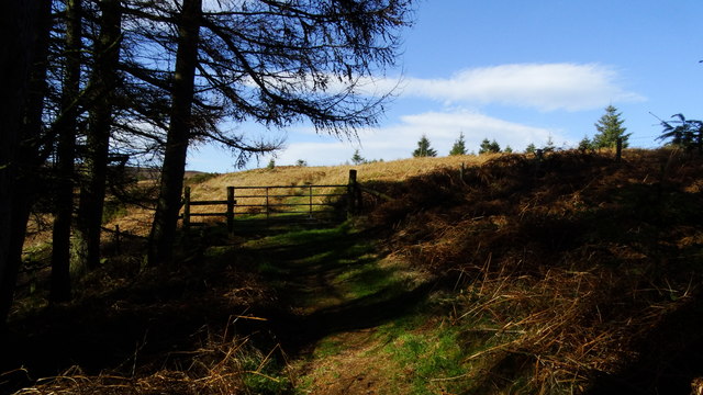 Path at western end of Newtown Mountain above Ruabon