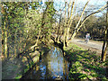 Dollis Brook at Totteridge