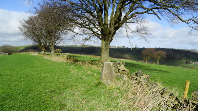 Trig point by Hasker Farm, Callow