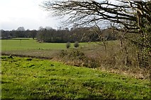SU2907 : Fields west of Pinkney Lane by David Martin