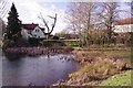 TL9527 : Duck Pond by Lexden Rd by Glyn Baker