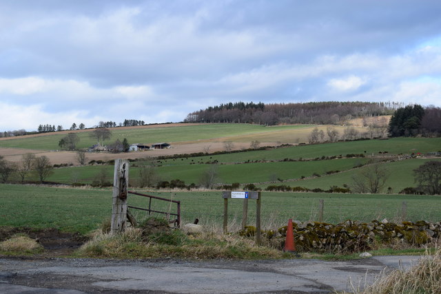 Aberdeenshire view...